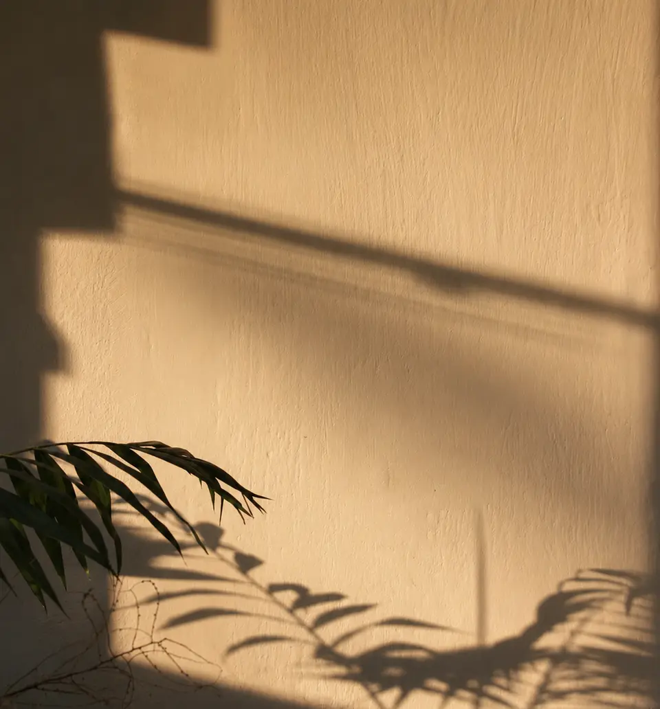 Palm frond shadows across a warm cream wall at Ananda Boutique Health Spa